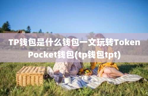 TP钱包是什么钱包一文玩转TokenPocket钱包(tp钱包tpt)