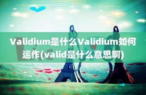 Validium是什么Validium如何运作(valid是什么意思啊)