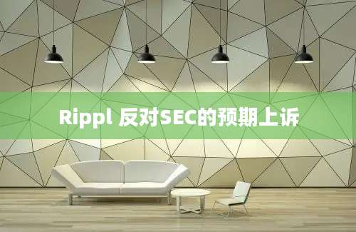 Rippl 反对SEC的预期上诉