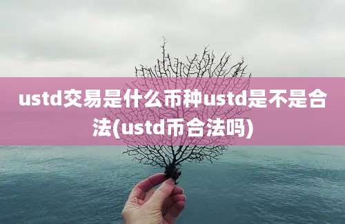 ustd交易是什么币种ustd是不是合法(ustd币合法吗)