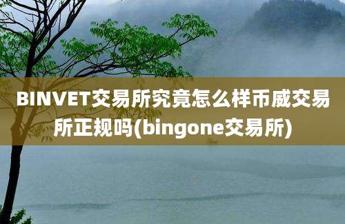 BINVET交易所究竟怎么样币威交易所正规吗(bingone交易所)