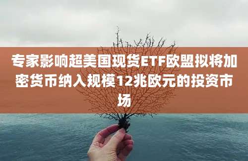 专家影响超美国现货ETF欧盟拟将加密货币纳入规模12兆欧元的投资市场