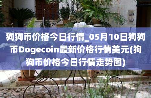 狗狗币价格今日行情_05月10日狗狗币Dogecoin最新价格行情美元(狗狗币价格今日行情走势图)