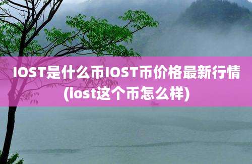 IOST是什么币IOST币价格最新行情(iost这个币怎么样)