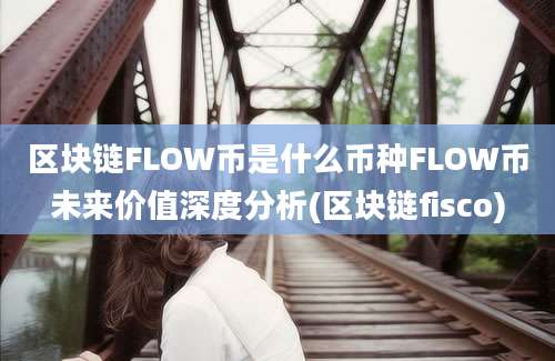 区块链FLOW币是什么币种FLOW币未来价值深度分析(区块链fisco)