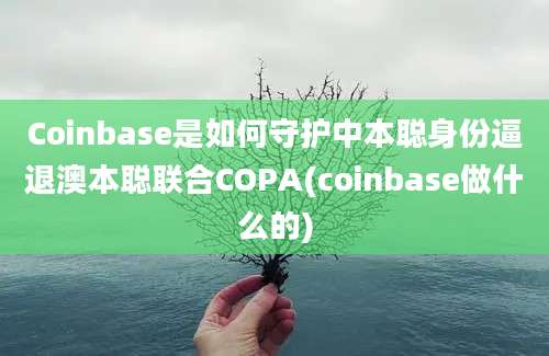 Coinbase是如何守护中本聪身份逼退澳本聪联合COPA(coinbase做什么的)