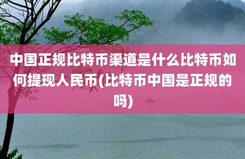 中国正规比特币渠道是什么比特币如何提现人民币(比特币中国是正规的吗)