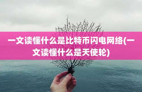 一文读懂什么是比特币闪电网络(一文读懂什么是天使轮)