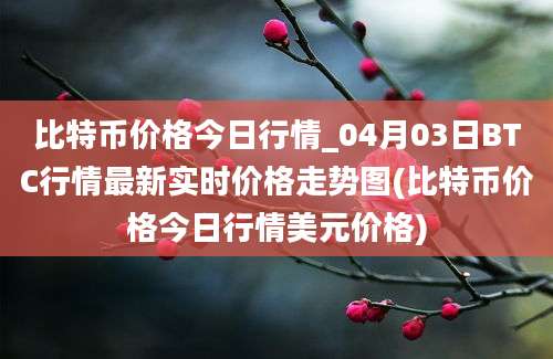 比特币价格今日行情_04月03日BTC行情最新实时价格走势图(比特币价格今日行情美元价格)