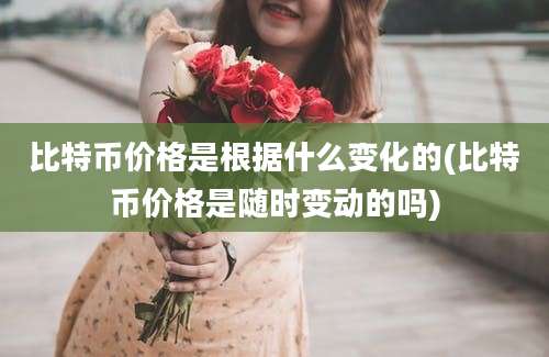 比特币价格是根据什么变化的(比特币价格是随时变动的吗)