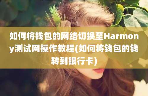 如何将钱包的网络切换至Harmony测试网操作教程(如何将钱包的钱转到银行卡)