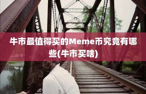 牛市最值得买的Meme币究竟有哪些(牛市买啥)