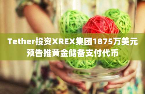 Tether投资XREX集团1875万美元预告推黄金储备支付代币