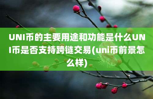 UNI币的主要用途和功能是什么UNI币是否支持跨链交易(uni币前景怎么样)