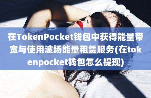 在TokenPocket钱包中获得能量带宽与使用波场能量租赁服务(在tokenpocket钱包怎么提现)