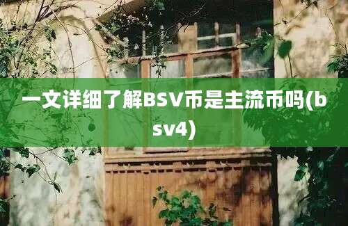 一文详细了解BSV币是主流币吗(bsv4)