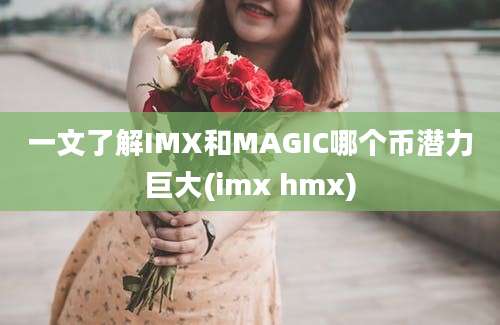 一文了解IMX和MAGIC哪个币潜力巨大(imx hmx)