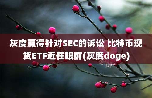 灰度赢得针对SEC的诉讼 比特币现货ETF近在眼前(灰度doge)