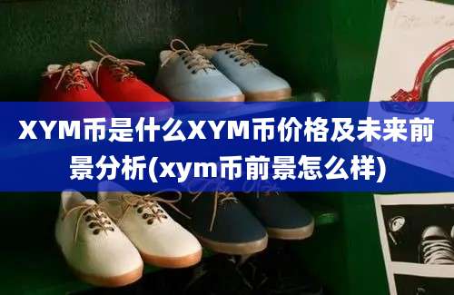 XYM币是什么XYM币价格及未来前景分析(xym币前景怎么样)