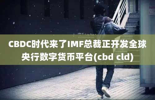 CBDC时代来了IMF总裁正开发全球央行数字货币平台(cbd cld)