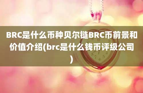 BRC是什么币种贝尔链BRC币前景和价值介绍(brc是什么钱币评级公司)