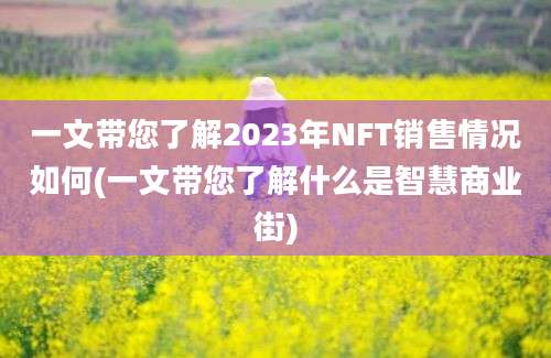 一文带您了解2023年NFT销售情况如何(一文带您了解什么是智慧商业街)