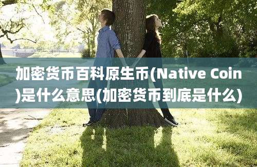 加密货币百科原生币(Native Coin)是什么意思(加密货币到底是什么)