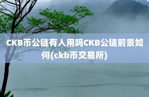 CKB币公链有人用吗CKB公链前景如何(ckb币交易所)