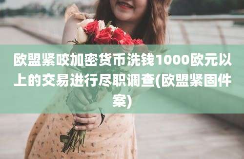 欧盟紧咬加密货币洗钱1000欧元以上的交易进行尽职调查(欧盟紧固件案)