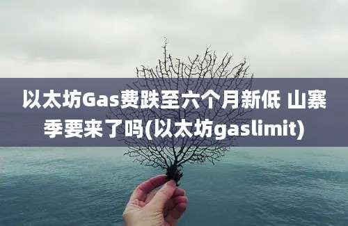 以太坊Gas费跌至六个月新低 山寨季要来了吗(以太坊gaslimit)