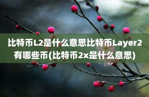 比特币L2是什么意思比特币Layer2有哪些币(比特币2x是什么意思)