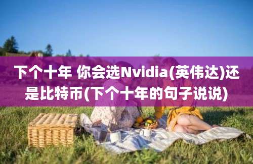 下个十年 你会选Nvidia(英伟达)还是比特币(下个十年的句子说说)