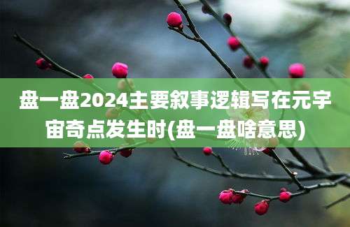 盘一盘2024主要叙事逻辑写在元宇宙奇点发生时(盘一盘啥意思)