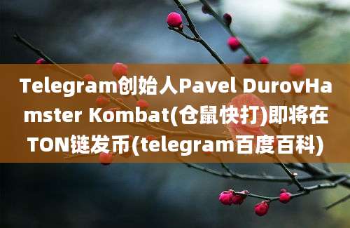 Telegram创始人Pavel DurovHamster Kombat(仓鼠快打)即将在TON链发币(telegram百度百科)