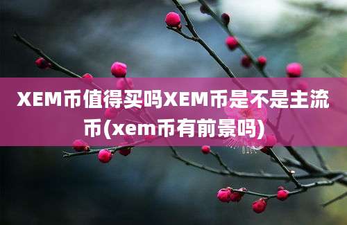 XEM币值得买吗XEM币是不是主流币(xem币有前景吗)