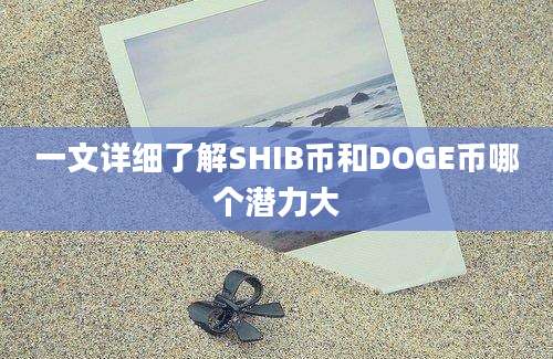 一文详细了解SHIB币和DOGE币哪个潜力大