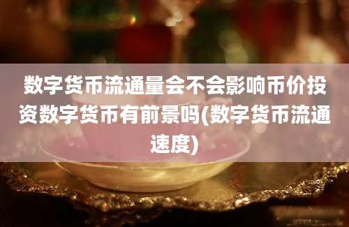 数字货币流通量会不会影响币价投资数字货币有前景吗(数字货币流通速度)