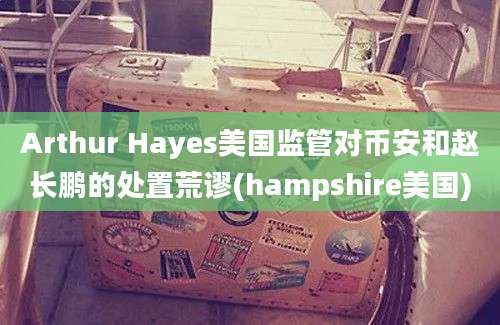 Arthur Hayes美国监管对币安和赵长鹏的处置荒谬(hampshire美国)