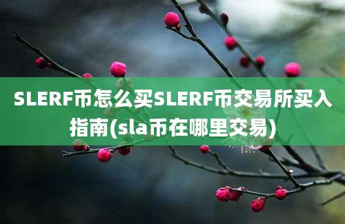 SLERF币怎么买SLERF币交易所买入指南(sla币在哪里交易)