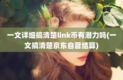 一文详细搞清楚link币有潜力吗(一文搞清楚京东自营结算)