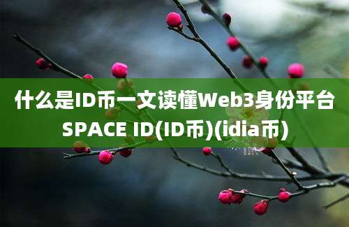 什么是ID币一文读懂Web3身份平台SPACE ID(ID币)(idia币)