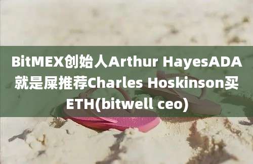 BitMEX创始人Arthur HayesADA就是屎推荐Charles Hoskinson买ETH(bitwell ceo)