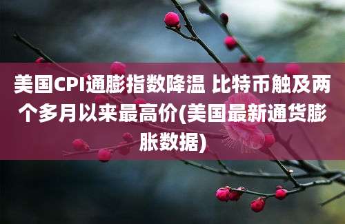 美国CPI通膨指数降温 比特币触及两个多月以来最高价(美国最新通货膨胀数据)