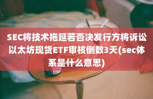 SEC将技术拖延若否决发行方将诉讼以太坊现货ETF审核倒数3天(sec体系是什么意思)