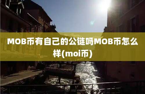 MOB币有自己的公链吗MOB币怎么样(moi币)