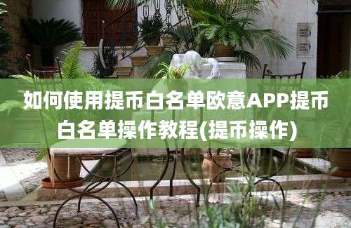 如何使用提币白名单欧意APP提币白名单操作教程(提币操作)