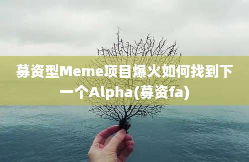 募资型Meme项目爆火如何找到下一个Alpha(募资fa)