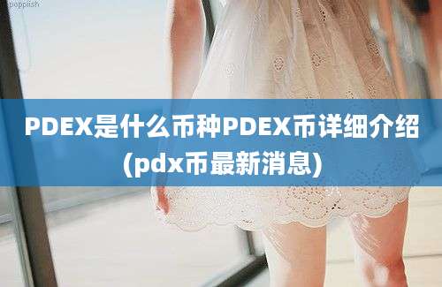 PDEX是什么币种PDEX币详细介绍(pdx币最新消息)