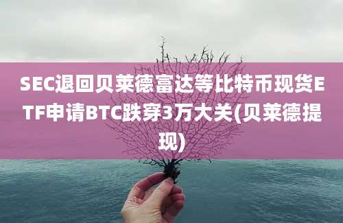 SEC退回贝莱德富达等比特币现货ETF申请BTC跌穿3万大关(贝莱德提现)