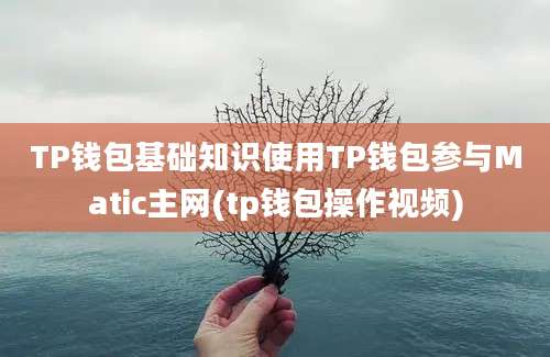 TP钱包基础知识使用TP钱包参与Matic主网(tp钱包操作视频)